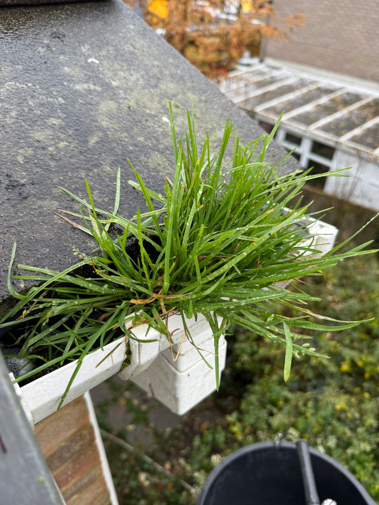 Blocked gutter downpipe in Eaton Bray